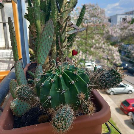 Atelje Apartman Podgorica Kültér fotó