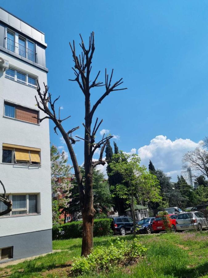 Atelje Apartman Podgorica Kültér fotó