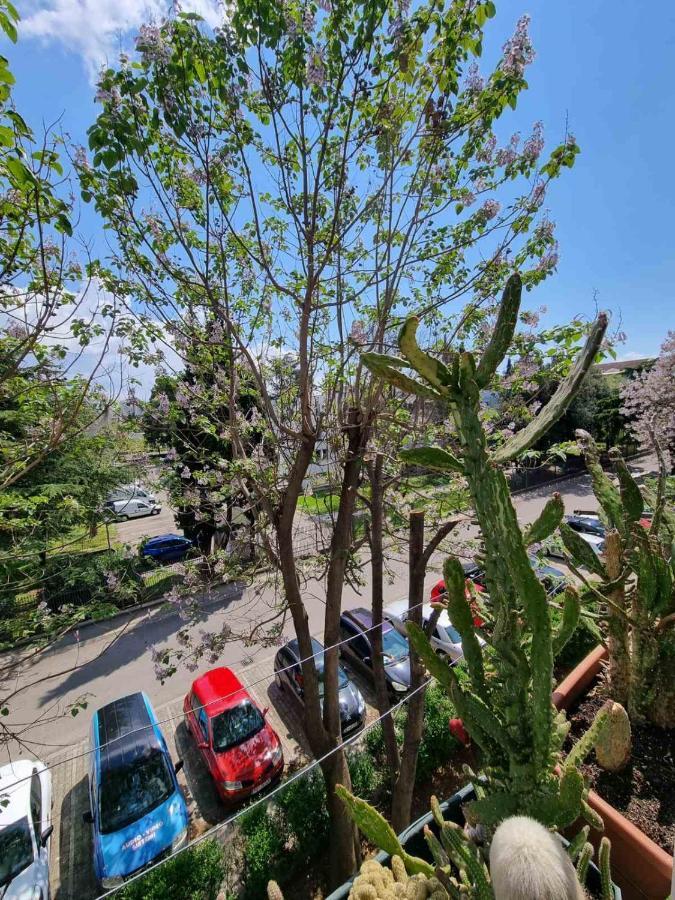 Atelje Apartman Podgorica Kültér fotó